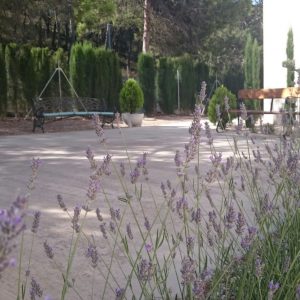 Banyeres